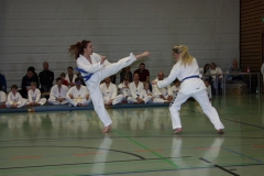 IMG_9942_bearbeitet-1