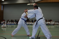 IMG_9949_bearbeitet-1