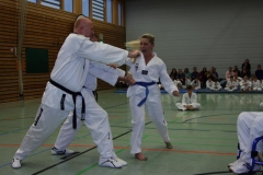 IMG_9951_bearbeitet-1
