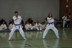 IMG_9953_bearbeitet-1
