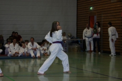 IMG_9960_bearbeitet-1