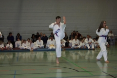 IMG_9963_bearbeitet-1