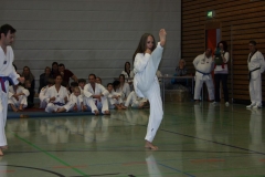 IMG_9964_bearbeitet-1