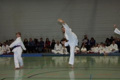 IMG_9966_bearbeitet-1