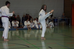 IMG_9970_bearbeitet-1