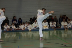 IMG_9971_bearbeitet-1