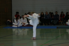 IMG_9973_bearbeitet-1