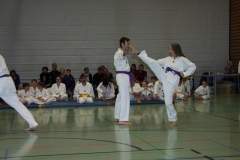 IMG_9990_bearbeitet-1