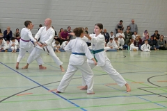 P1370364_bearbeitet-1