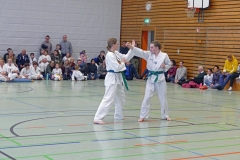 P1370372_bearbeitet-1