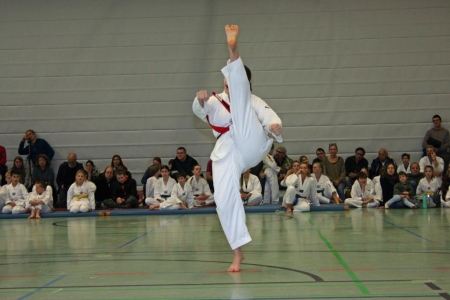 IMG_1515_bearbeitet-1