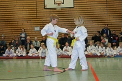 IMG_1216_bearbeitet-1