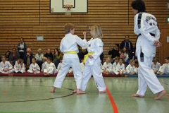 IMG_1217_bearbeitet-1