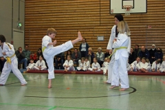 IMG_1221_bearbeitet-1