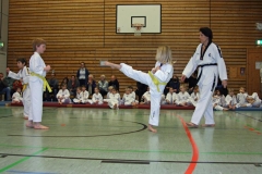 IMG_1224_bearbeitet-1