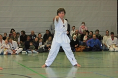 IMG_1228_bearbeitet-1