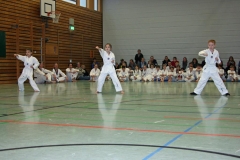 IMG_1231_bearbeitet-1