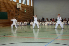 IMG_1233_bearbeitet-1