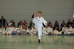 IMG_1236_bearbeitet-1