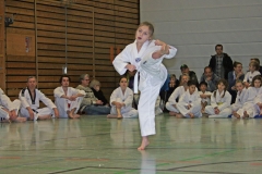 IMG_1238_bearbeitet-1