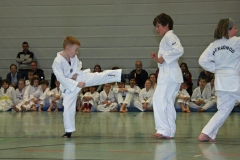 IMG_1244_bearbeitet-1