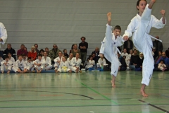 IMG_1257_bearbeitet-1