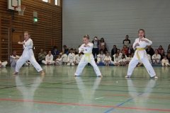 IMG_1276_bearbeitet-1