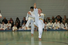 IMG_1278_bearbeitet-1
