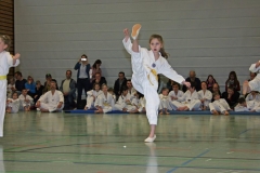 IMG_1283_bearbeitet-1