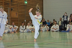 IMG_1284_bearbeitet-1