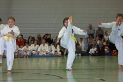 IMG_1286_bearbeitet-1