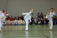 IMG_1287_bearbeitet-1