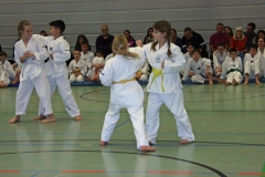 IMG_1303_bearbeitet-1