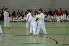 IMG_1305_bearbeitet-1