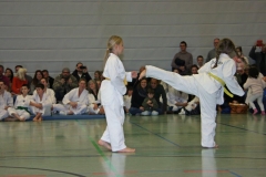IMG_1320_bearbeitet-1