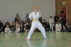 IMG_1324_bearbeitet-1