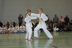 IMG_1337_bearbeitet-1