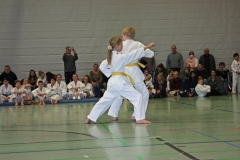 IMG_1338_bearbeitet-1