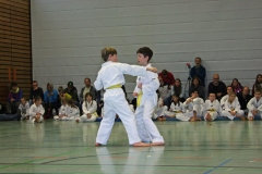 IMG_1340_bearbeitet-1