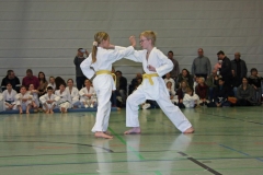 IMG_1341_bearbeitet-1