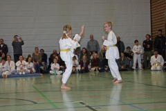 IMG_1343_bearbeitet-1