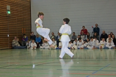 IMG_1345_bearbeitet-1