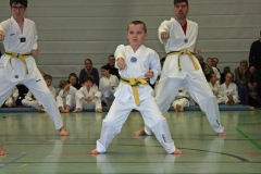 IMG_1350_bearbeitet-1