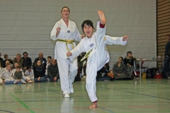IMG_1356_bearbeitet-1