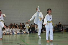 IMG_1357_bearbeitet-1