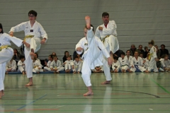 IMG_1358_bearbeitet-1