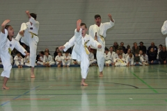 IMG_1359_bearbeitet-1