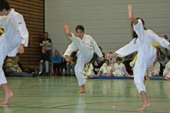 IMG_1362_bearbeitet-1