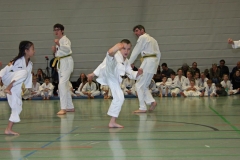 IMG_1364_bearbeitet-1