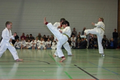 IMG_1386_bearbeitet-1